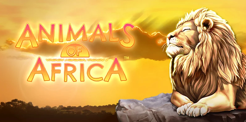 Animals of Africa Slot fun88 slotmachine bonus